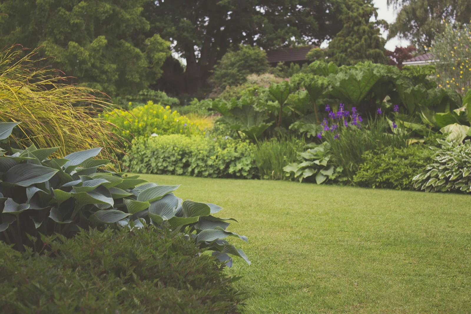 Jardin arboré